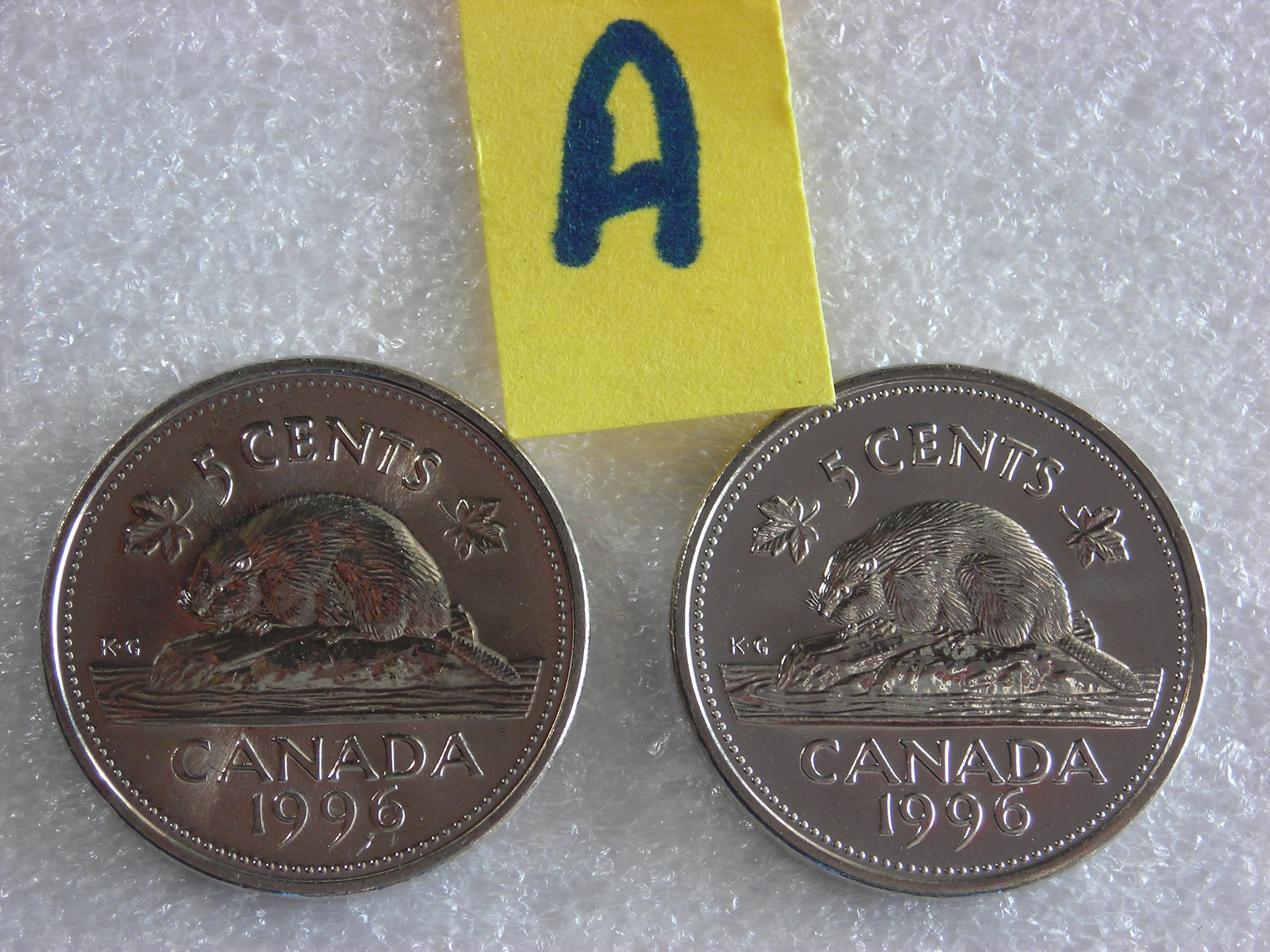 DSCN6927.JPG