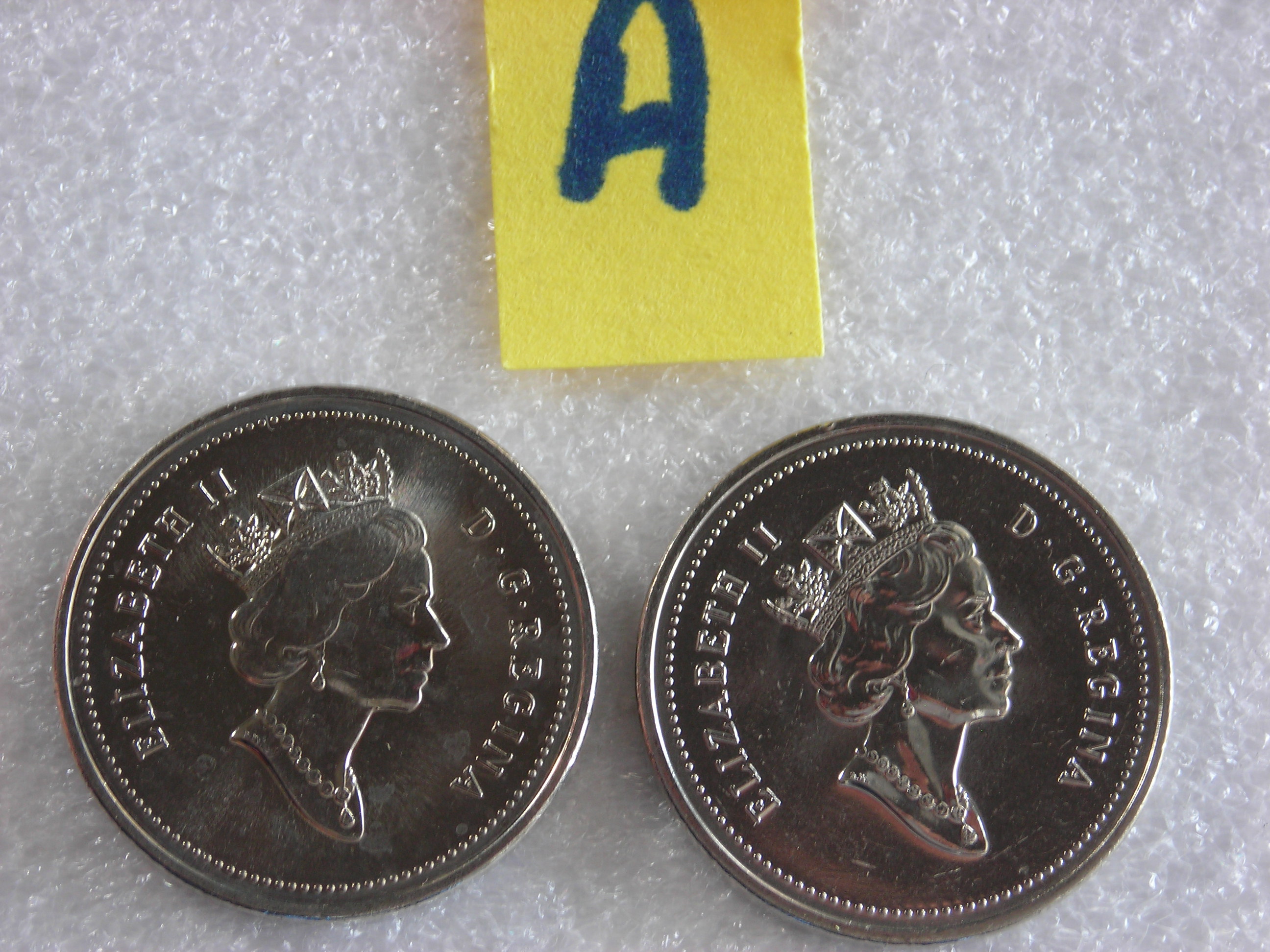 DSCN6928.JPG