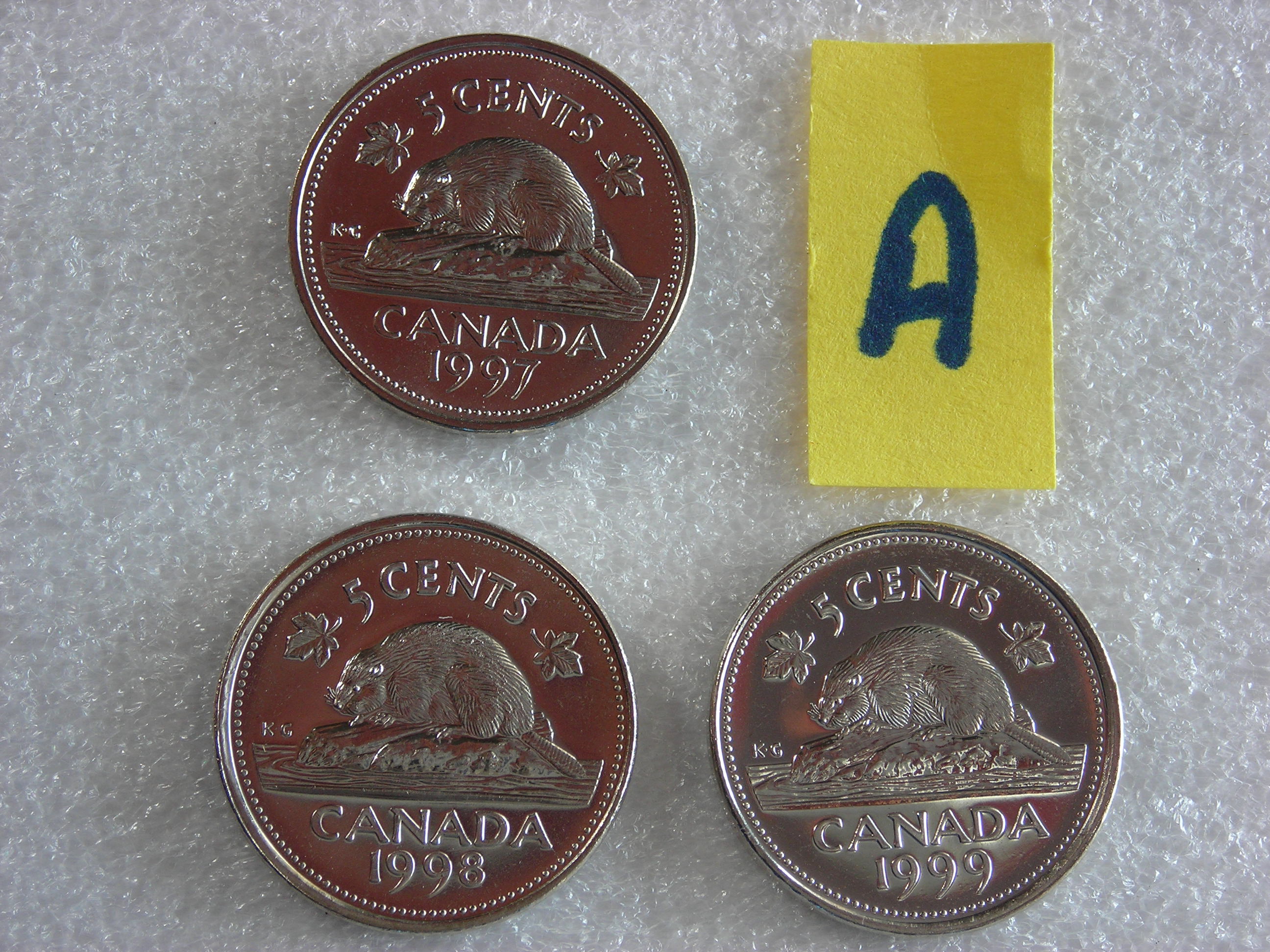 DSCN6929.JPG