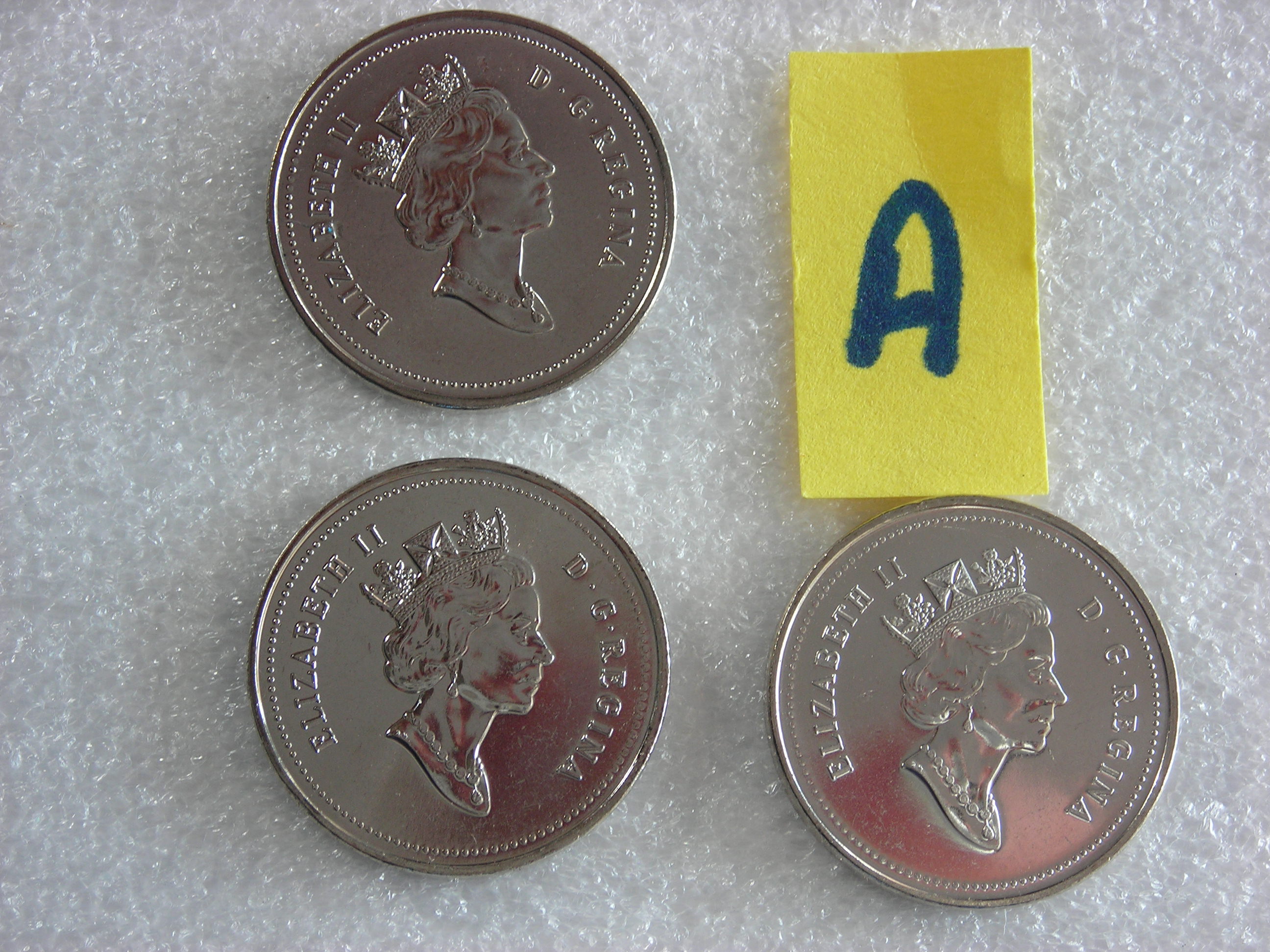 DSCN6930.JPG