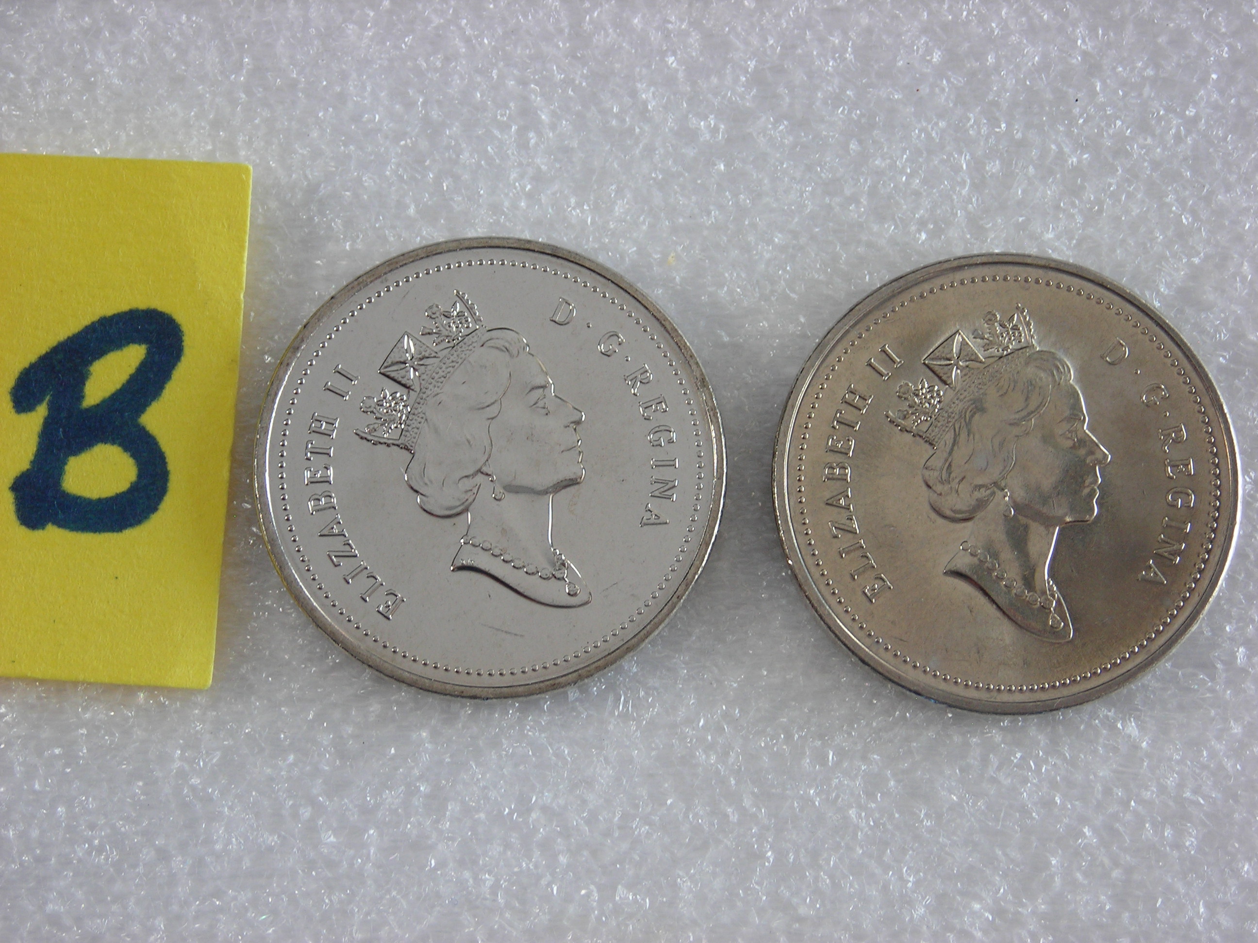 DSCN6934.JPG