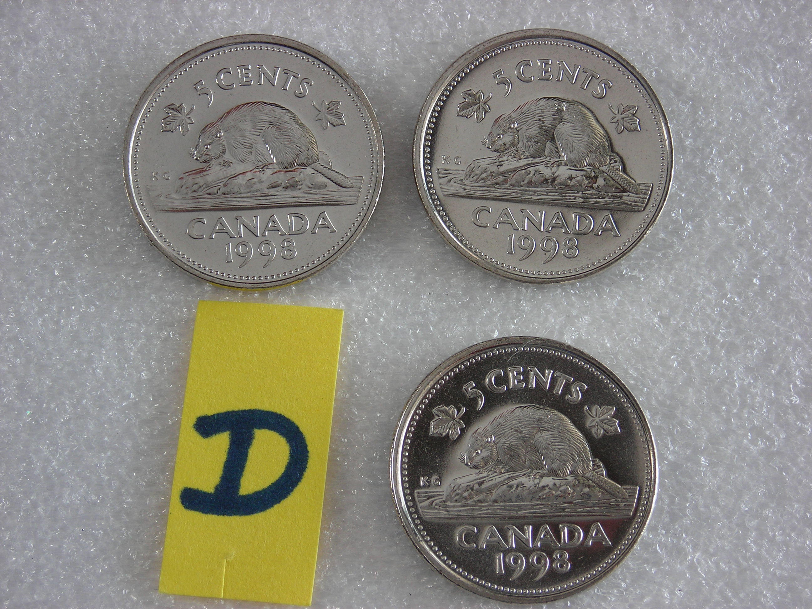 DSCN6939.JPG