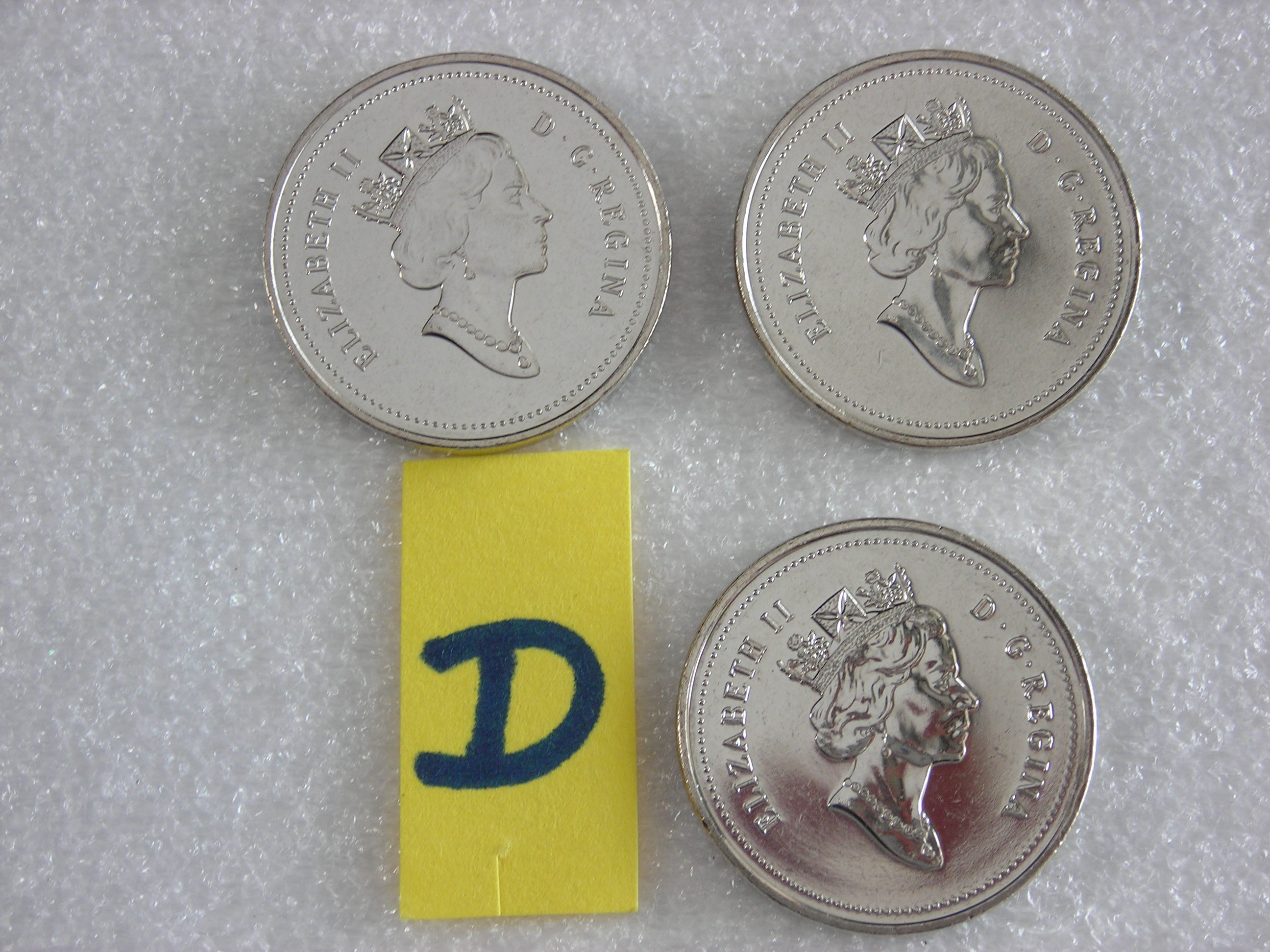 DSCN6940.JPG