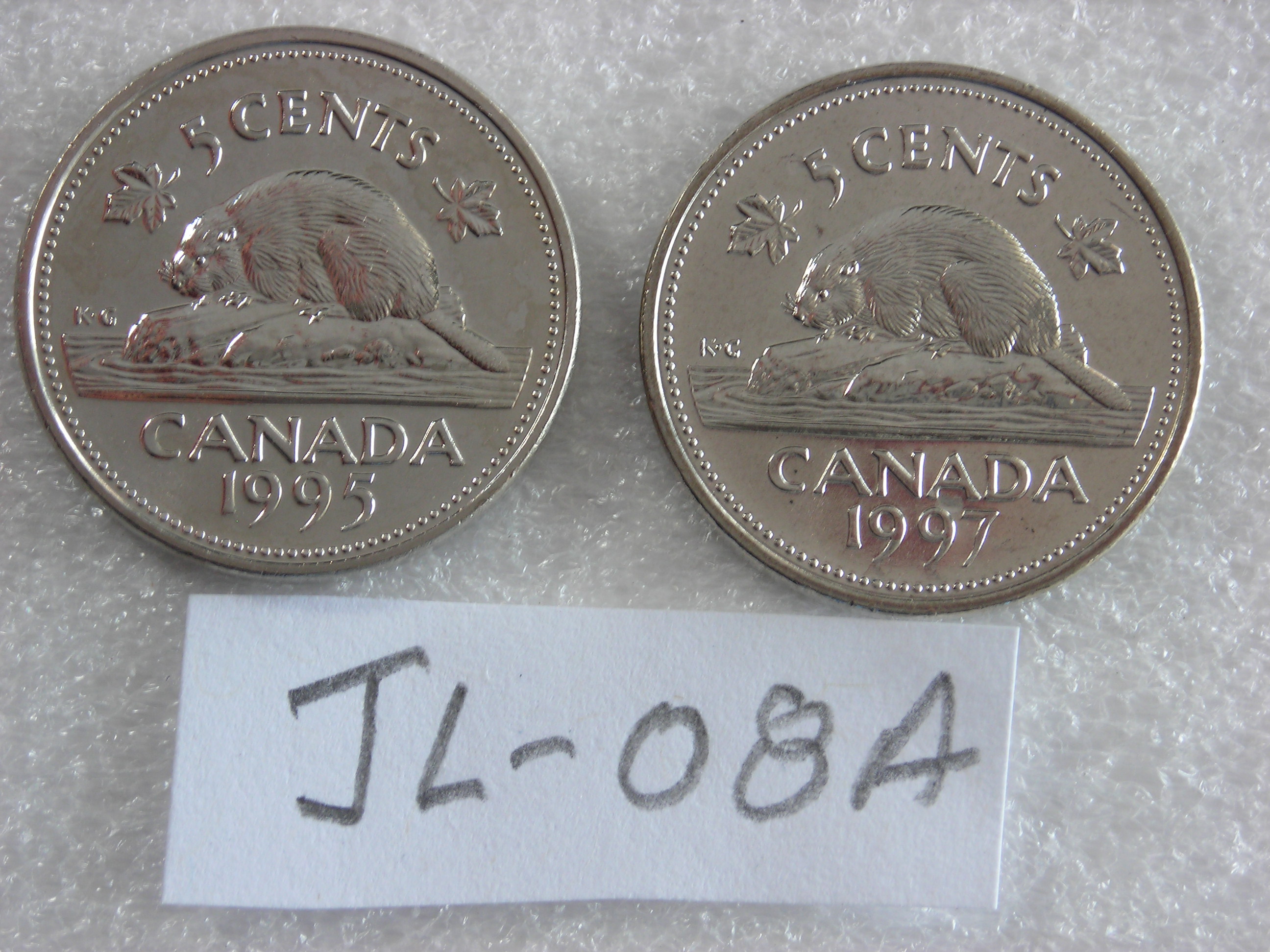 DSCN6943.JPG