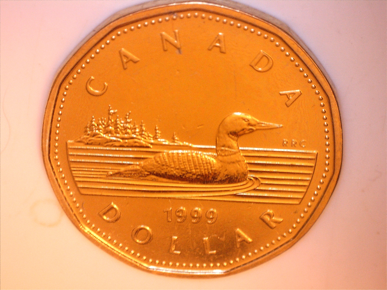 1999 dollar circ 2.jpg