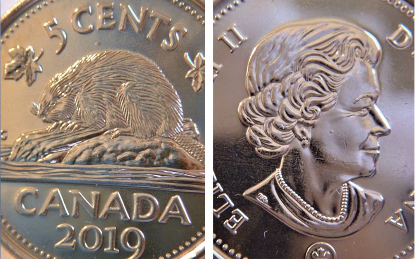 5 Cents 2019-Points au dessus du castor et un autre sur la joue de effigie-1.JPG