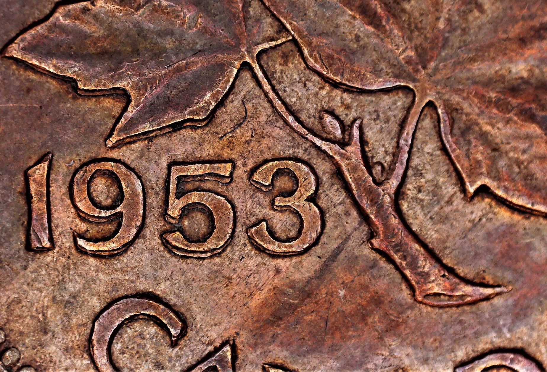 0216 E11 1c 1953 NSF R_1.jpg