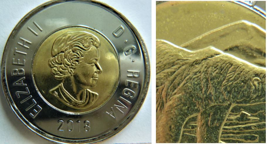 2 Dollar 2018-Coin fendillé sur le dos de l'ours-1.JPG