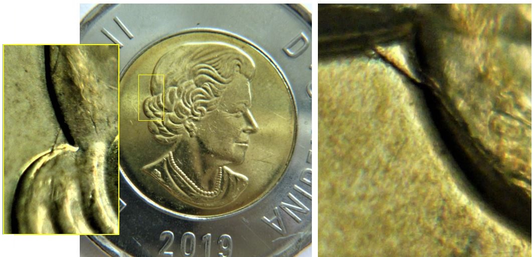 2 Dollar 2019-Coin fendillé -Caché dans les cheveux.1.JPG