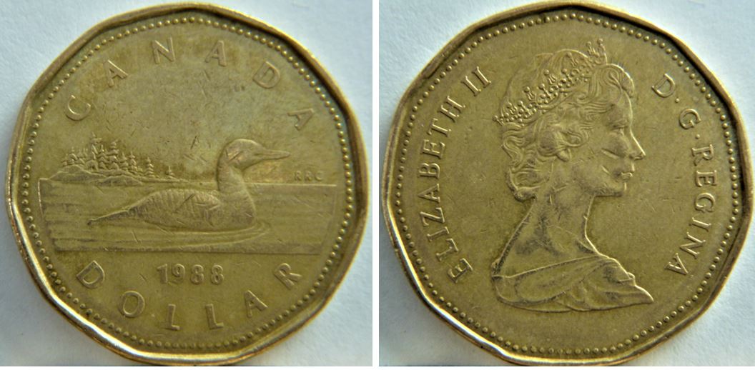 1 Dollard 1988- Coin fendillé a trois endroit-Éclat du coin coté avers-1.JPG