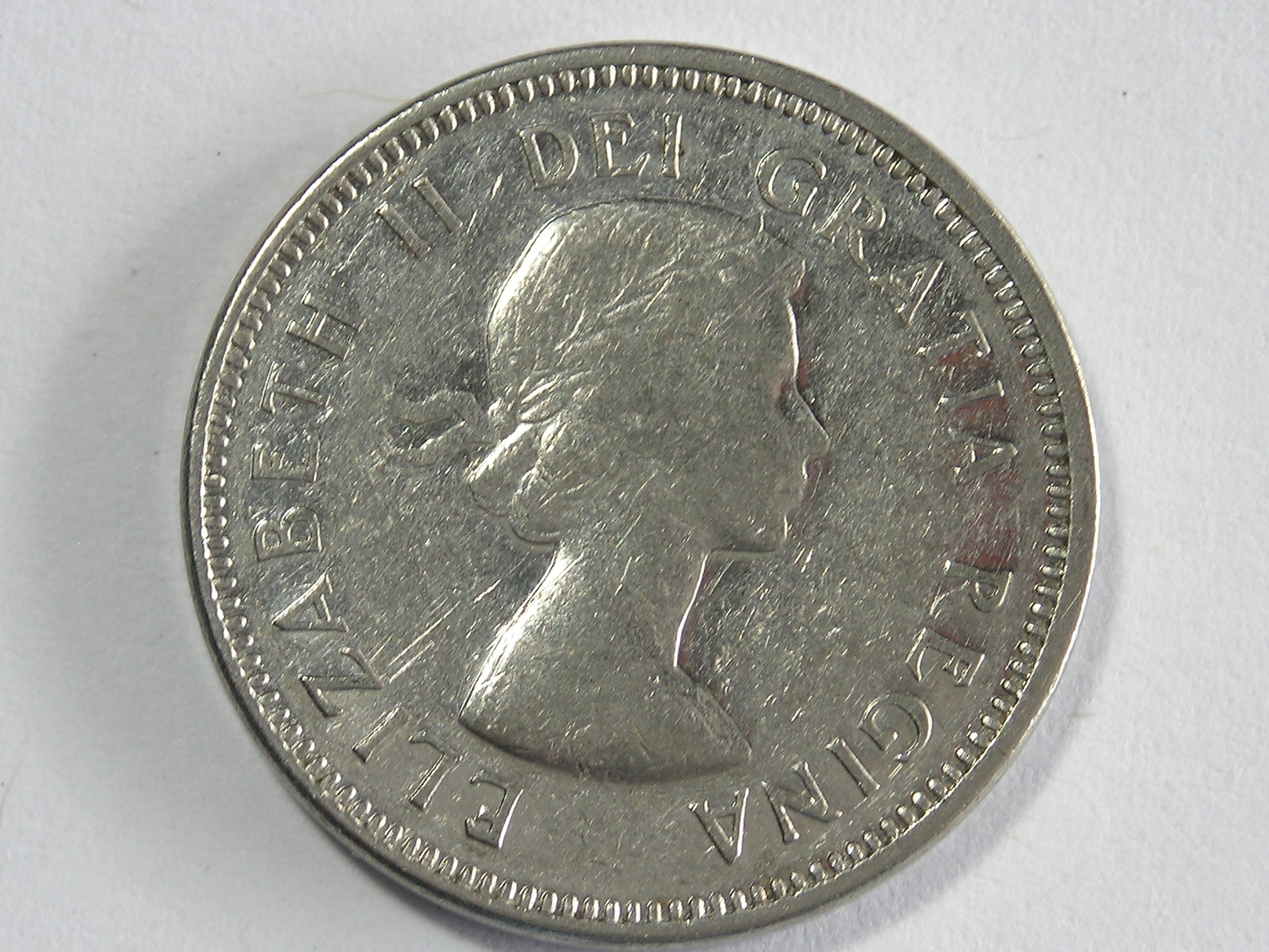 DSCN7398.JPG