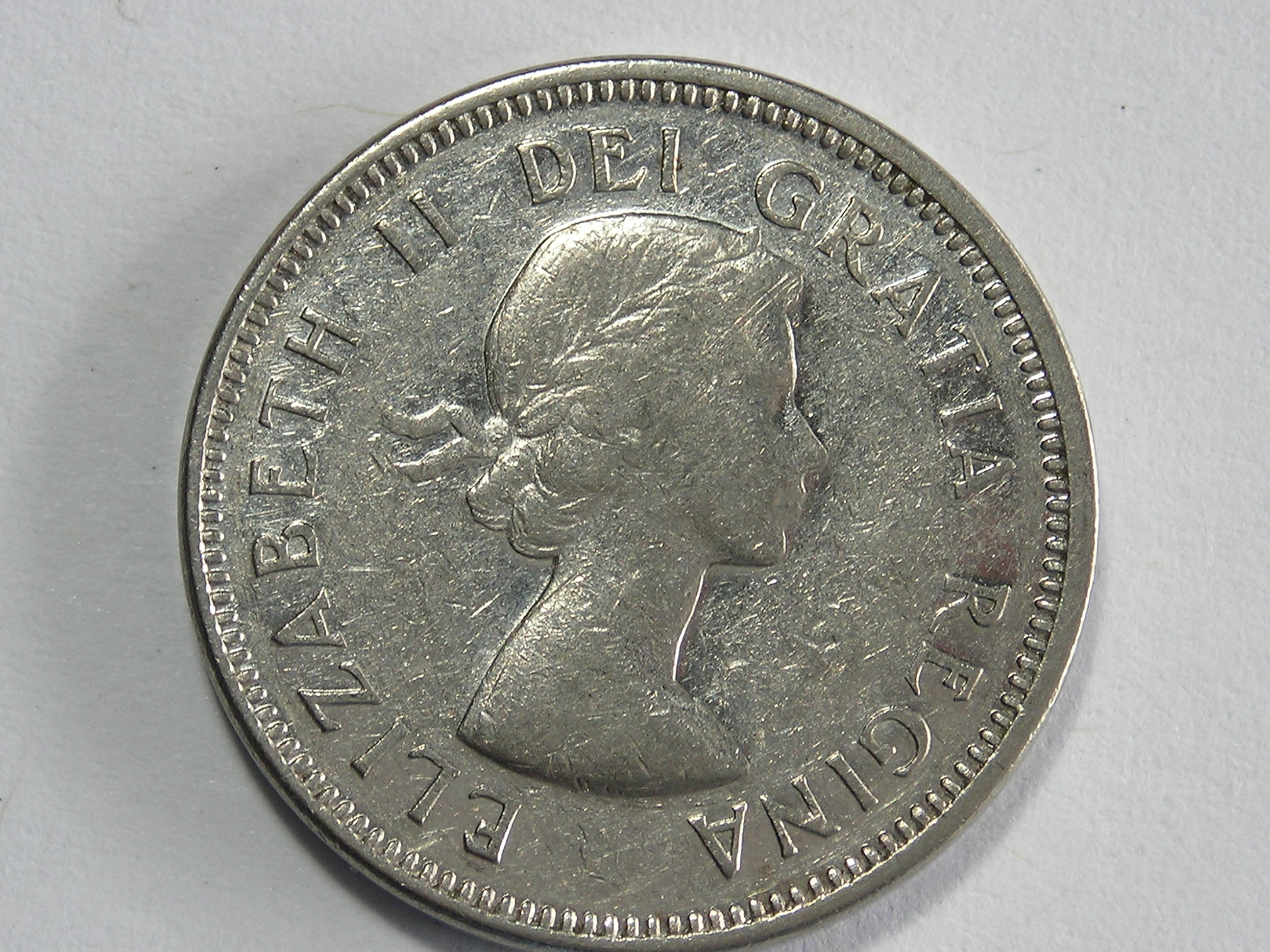 DSCN7399.JPG