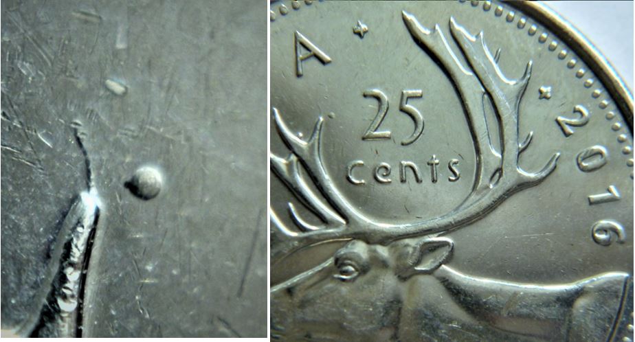 25 Cents 2016-Coin fendillé et un points près des bois-1.JPG