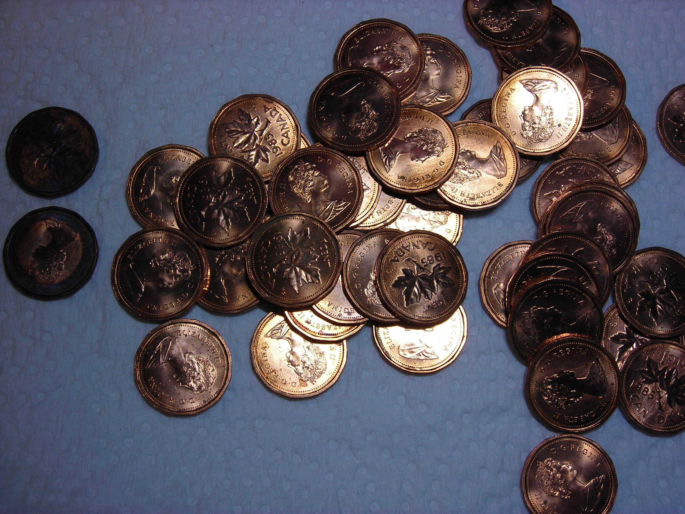 DSCN7475.JPG