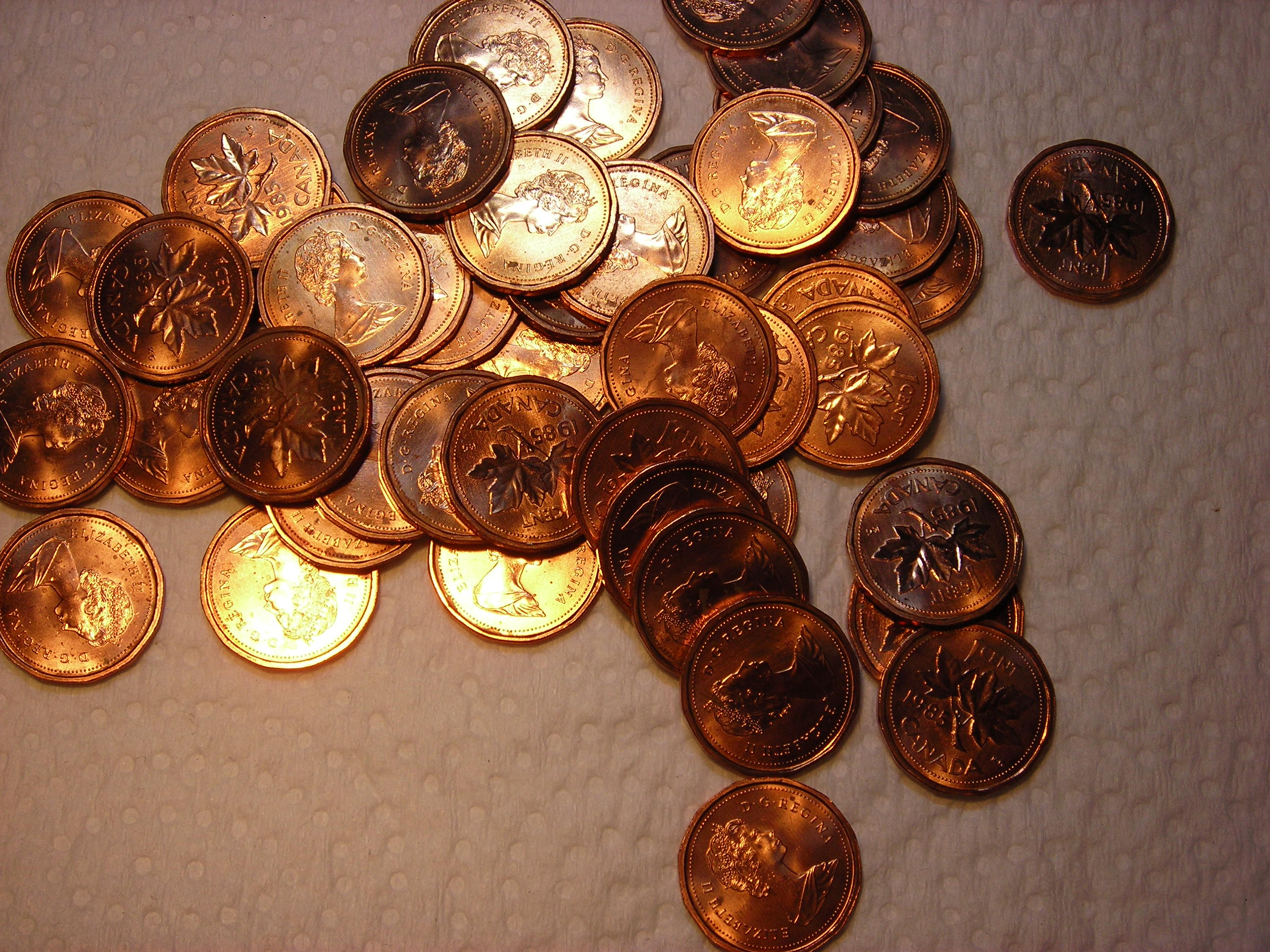 DSCN7478.JPG
