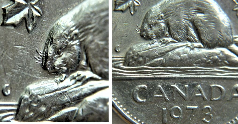 5 Cents 1973-Double tête du castor+Dépôt métal dans le cou-1.JPG