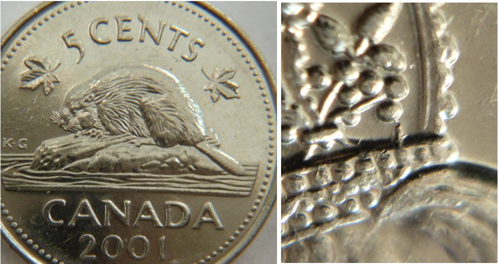 5 Cents 2001-Éclat coin sous les fruits de la couronne-1.JPG