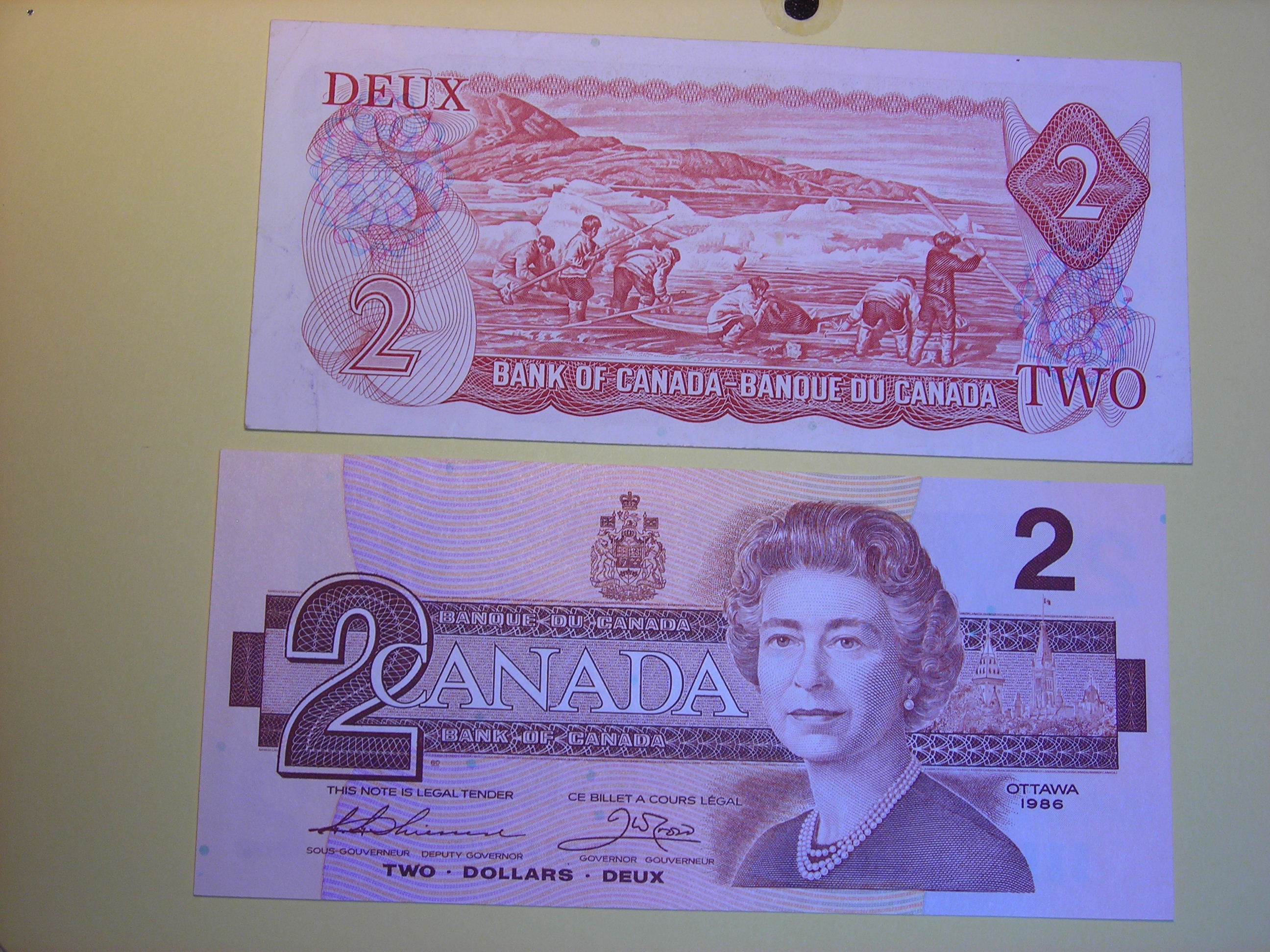 DSCN7537.JPG