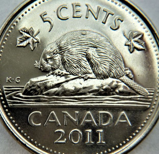 5 Cents 2011-Éclat coin sur le dos du castor+double dos-4.JPG