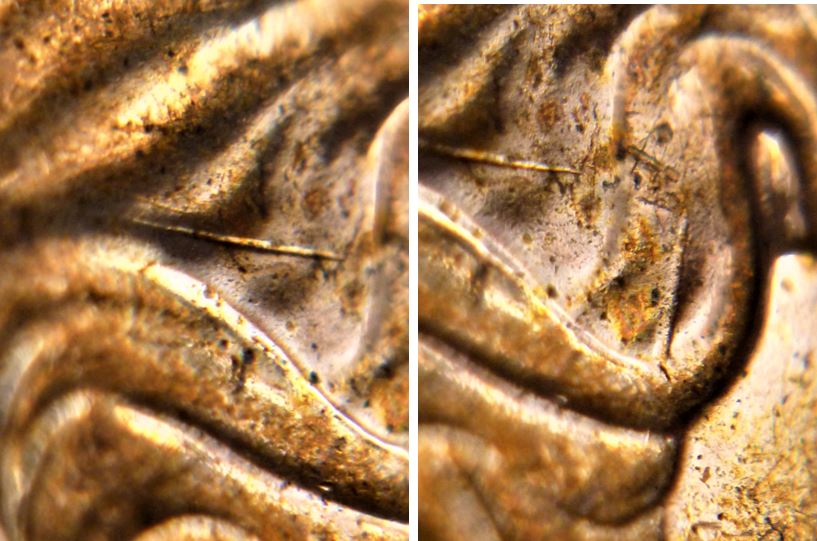 1 Cent 2011-Dommage du coin dans les cheveux-2.JPG