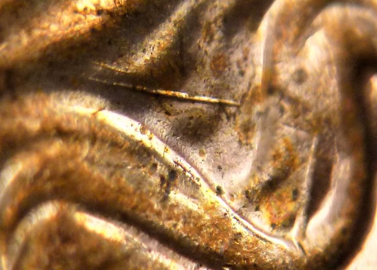 1 Cent 2011-Dommage du coin dans les cheveux-3.JPG