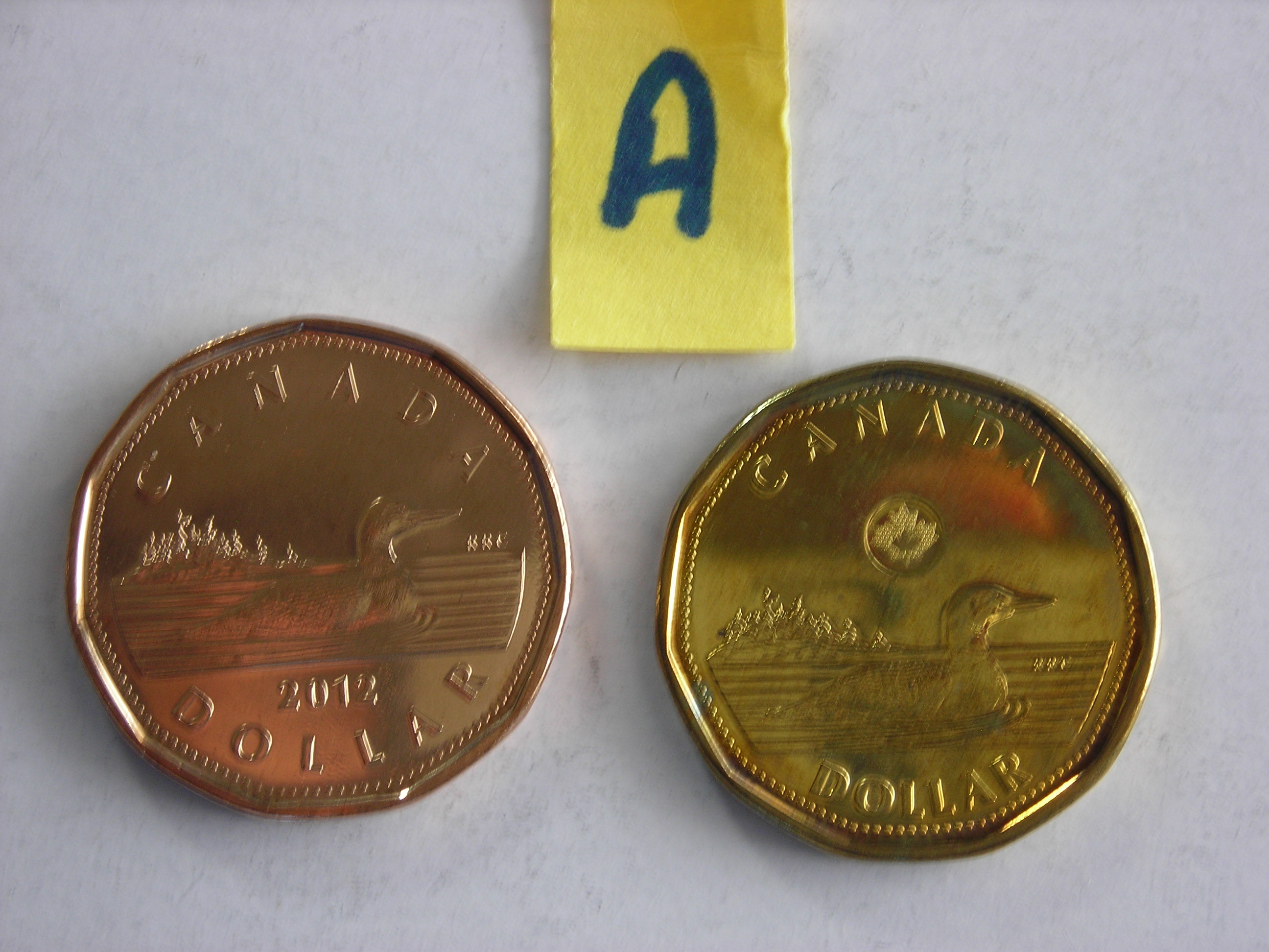 DSCN7690.JPG
