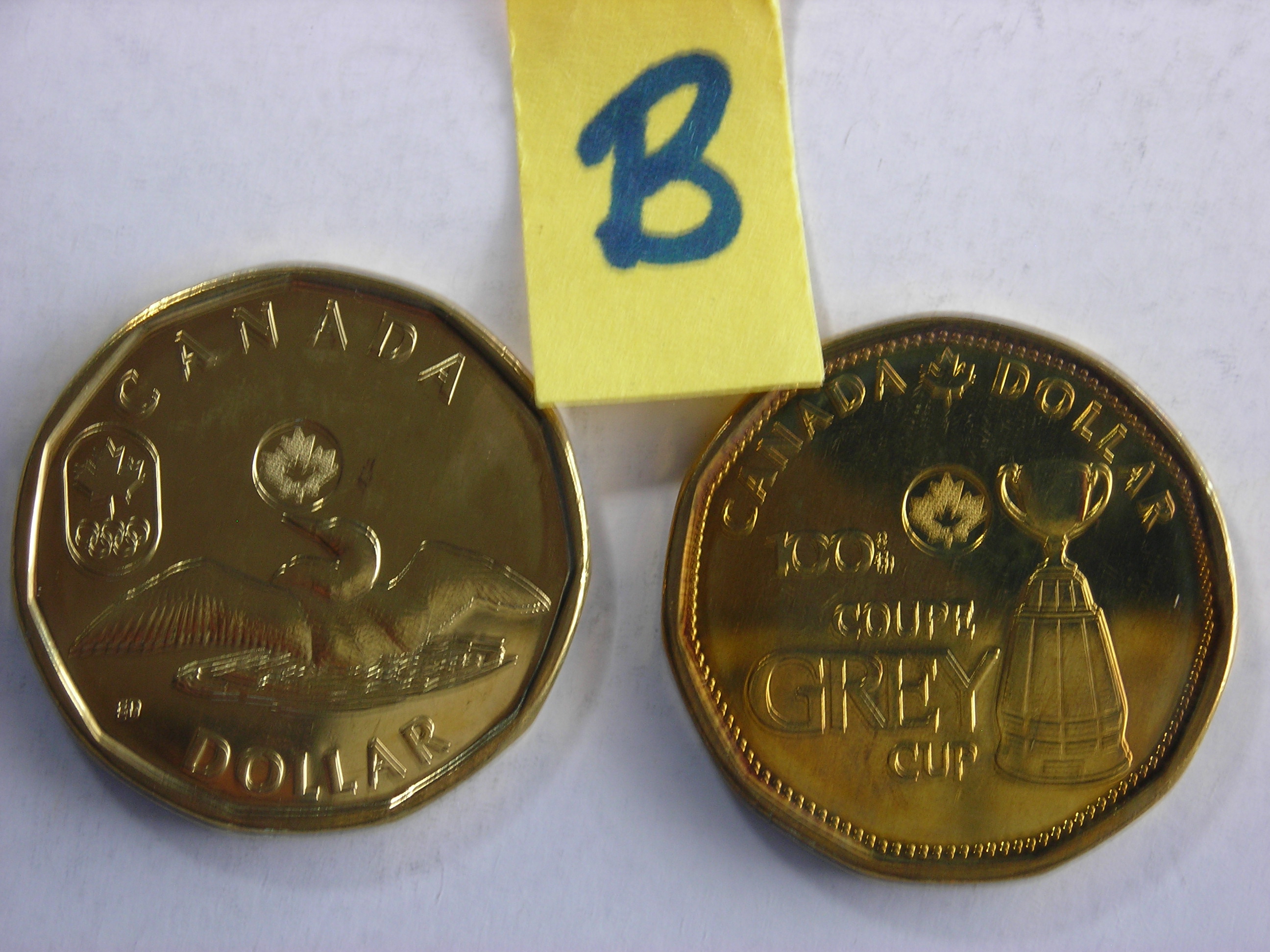 DSCN7696.JPG