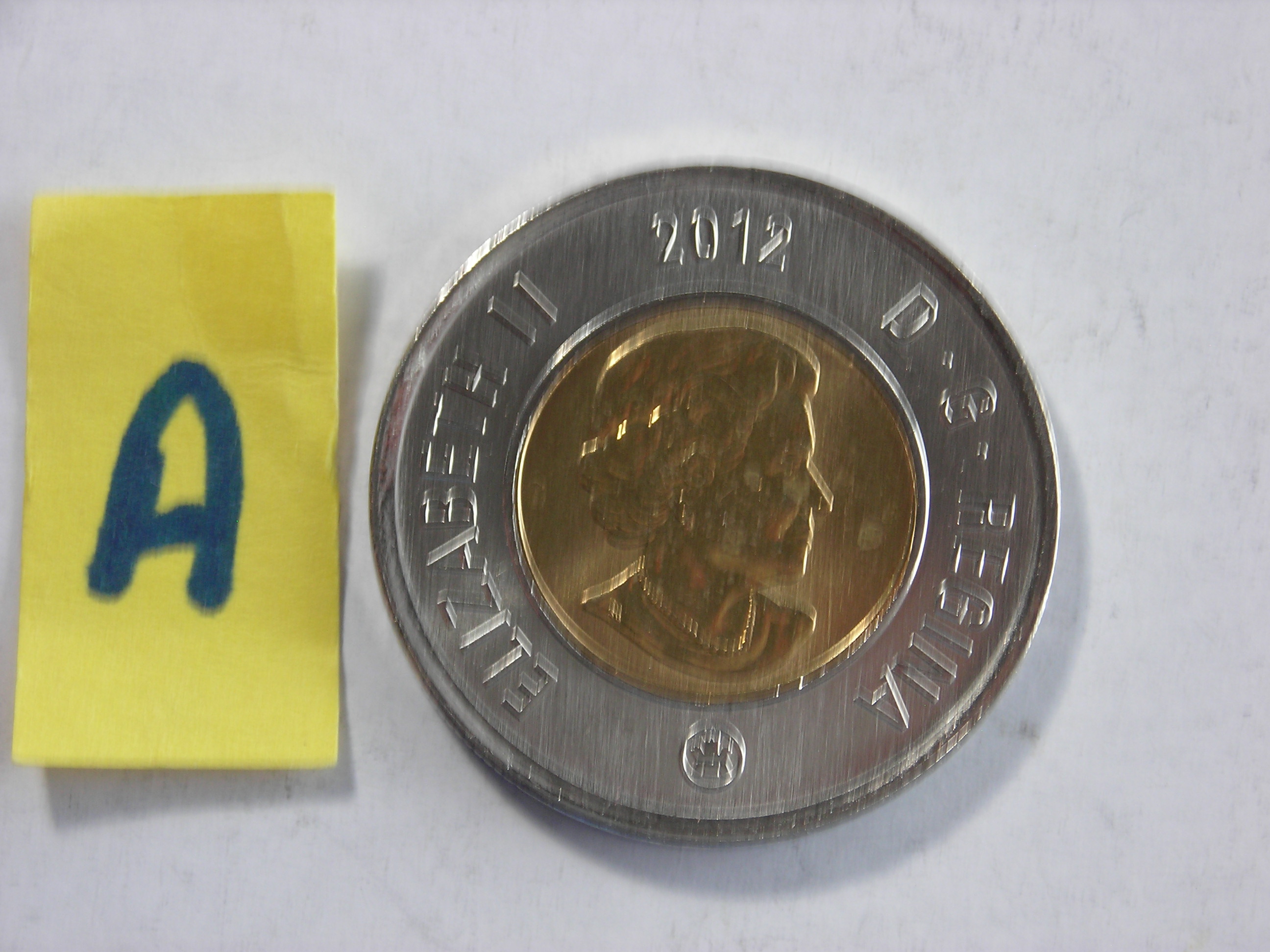 DSCN7699.JPG