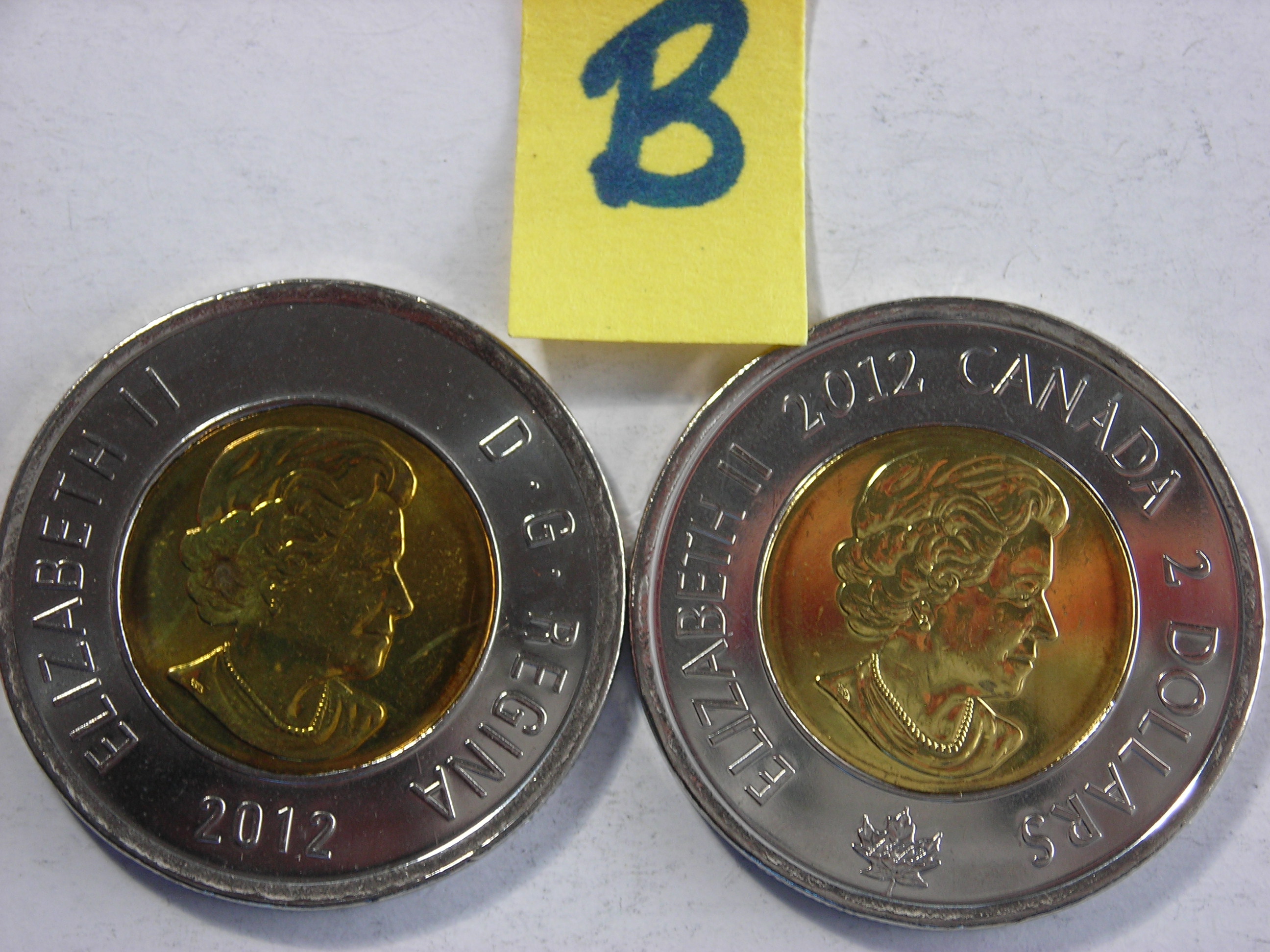 DSCN7705.JPG