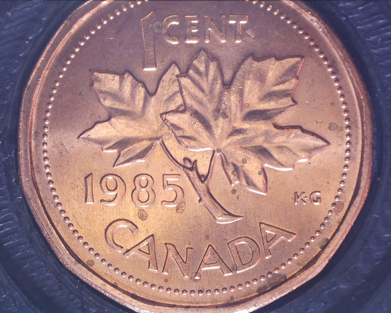 210323165056791.jpg