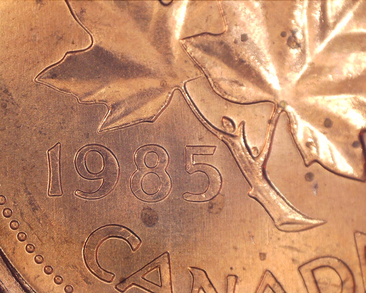 210323165622085.jpg