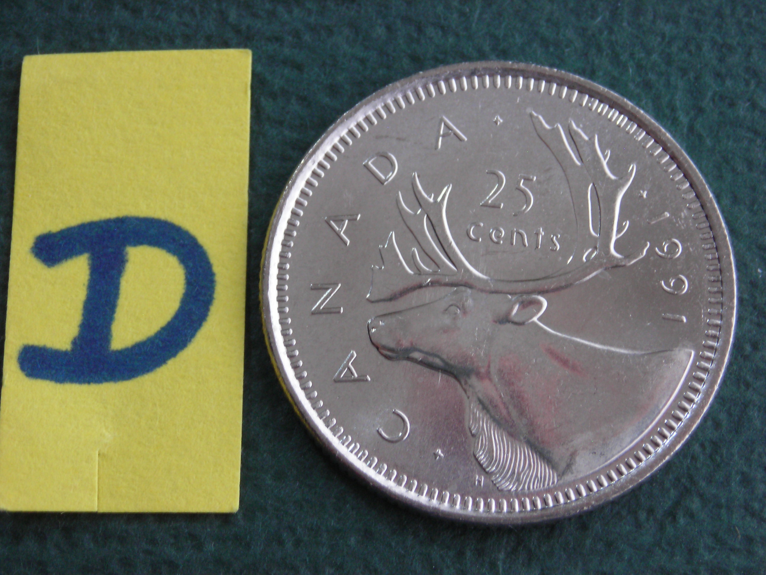 DSCN7826.JPG