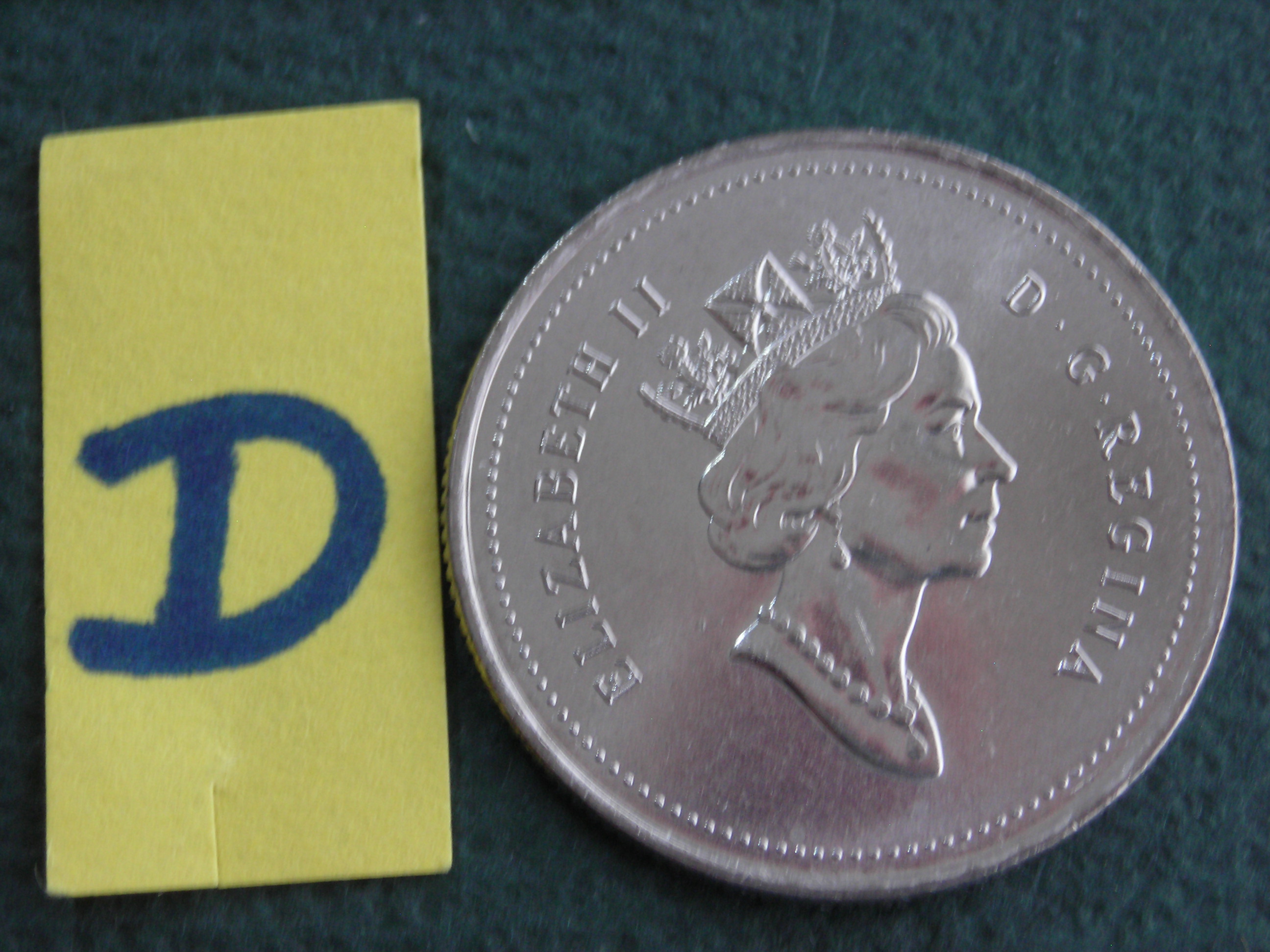 DSCN7827.JPG