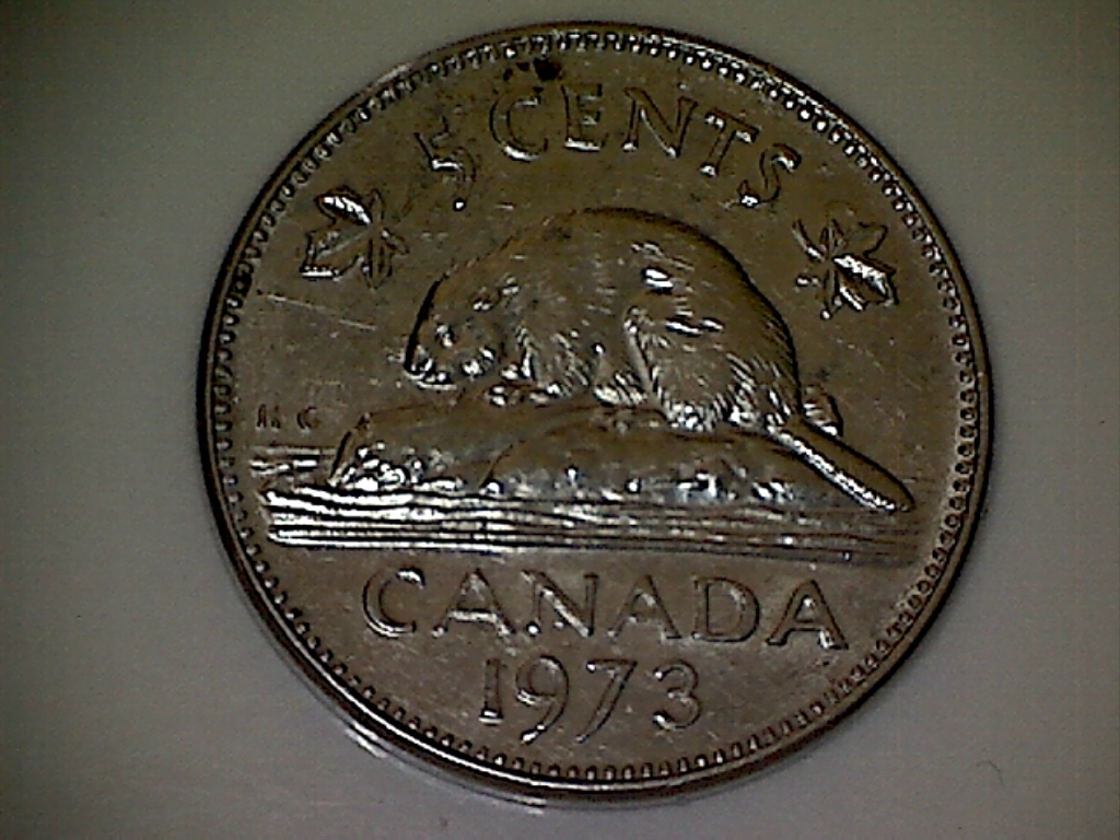 1973 B521002C Points sur moustaches Revers.jpg