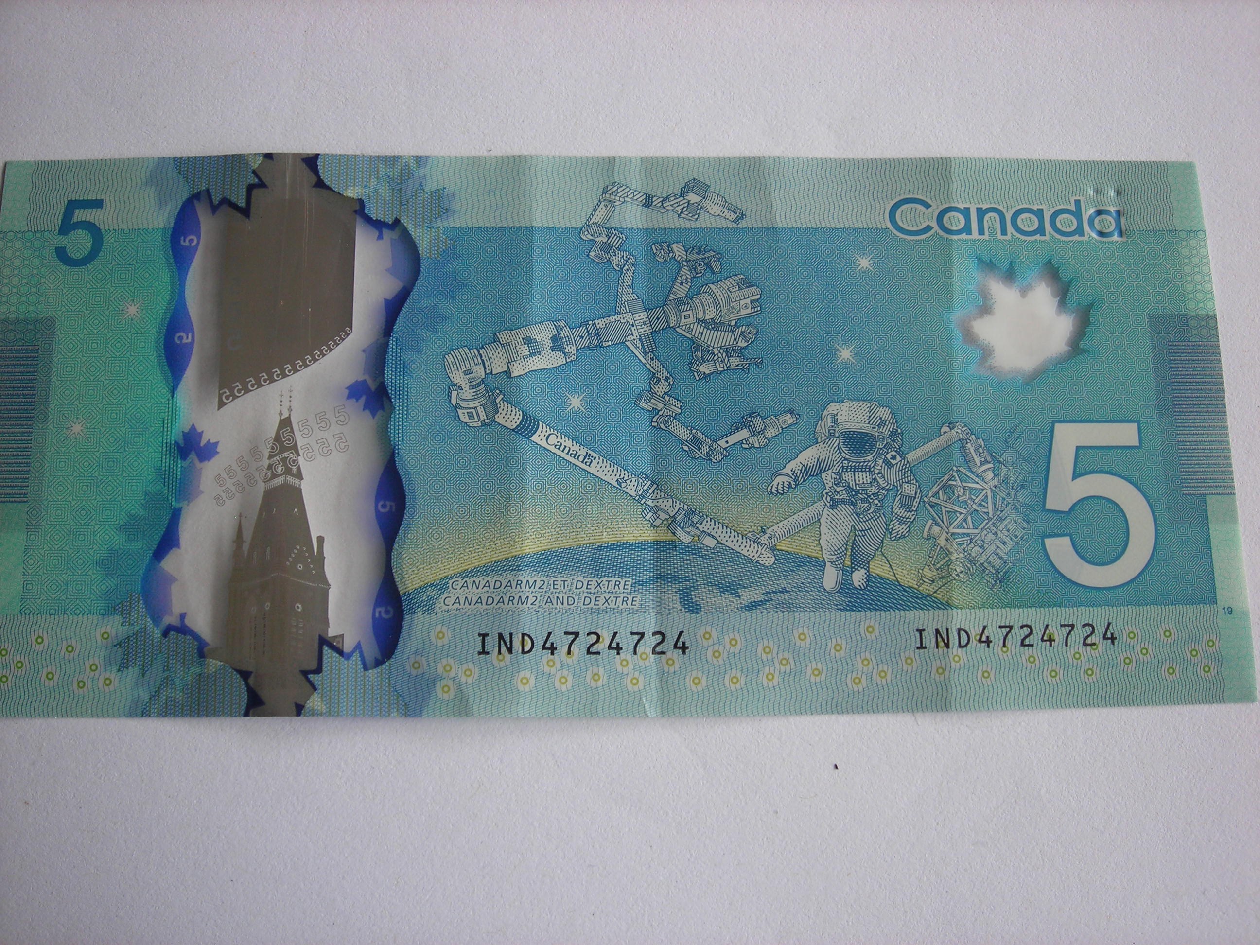 DSCN7870.JPG