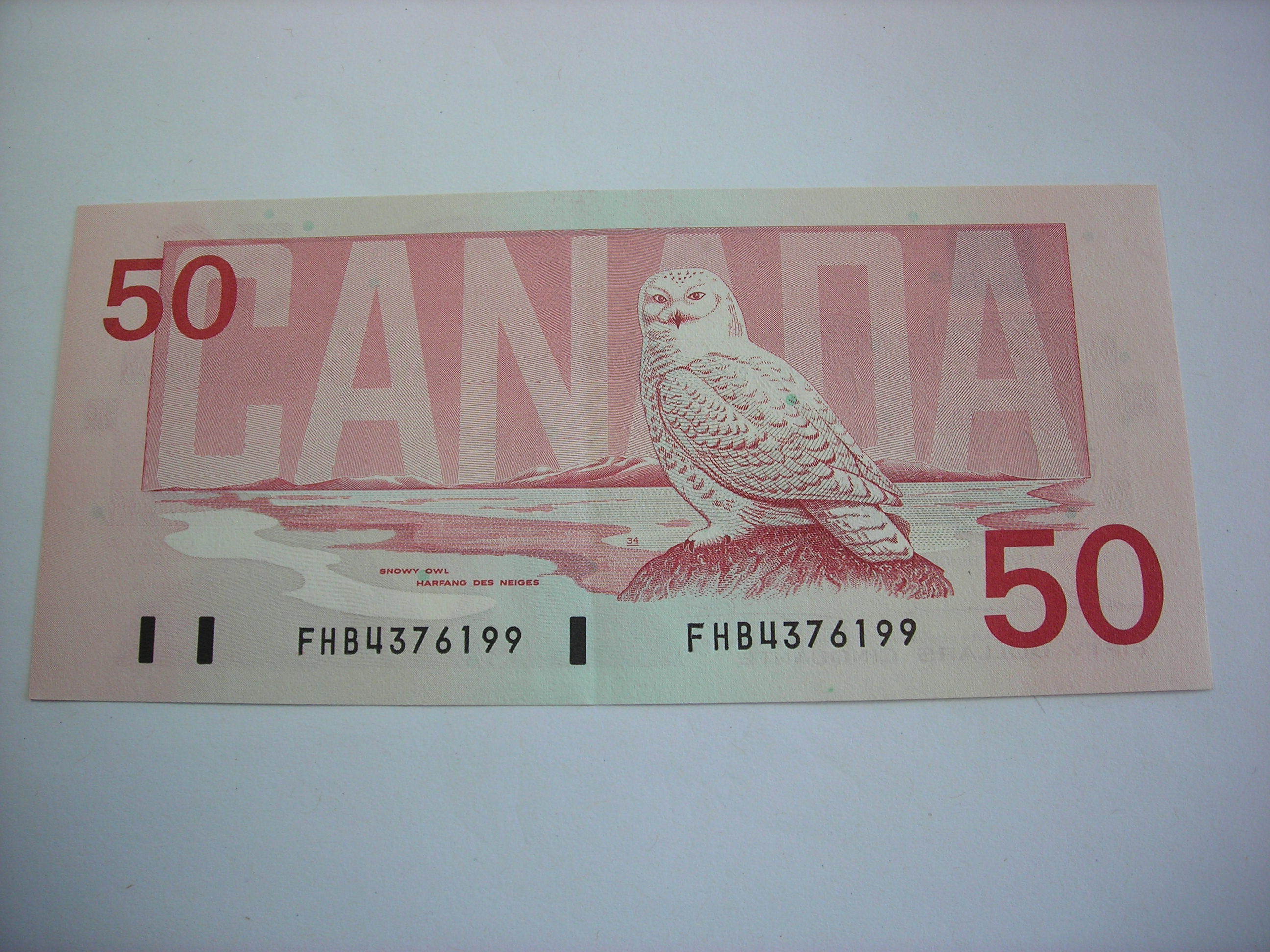 DSCN7887.JPG