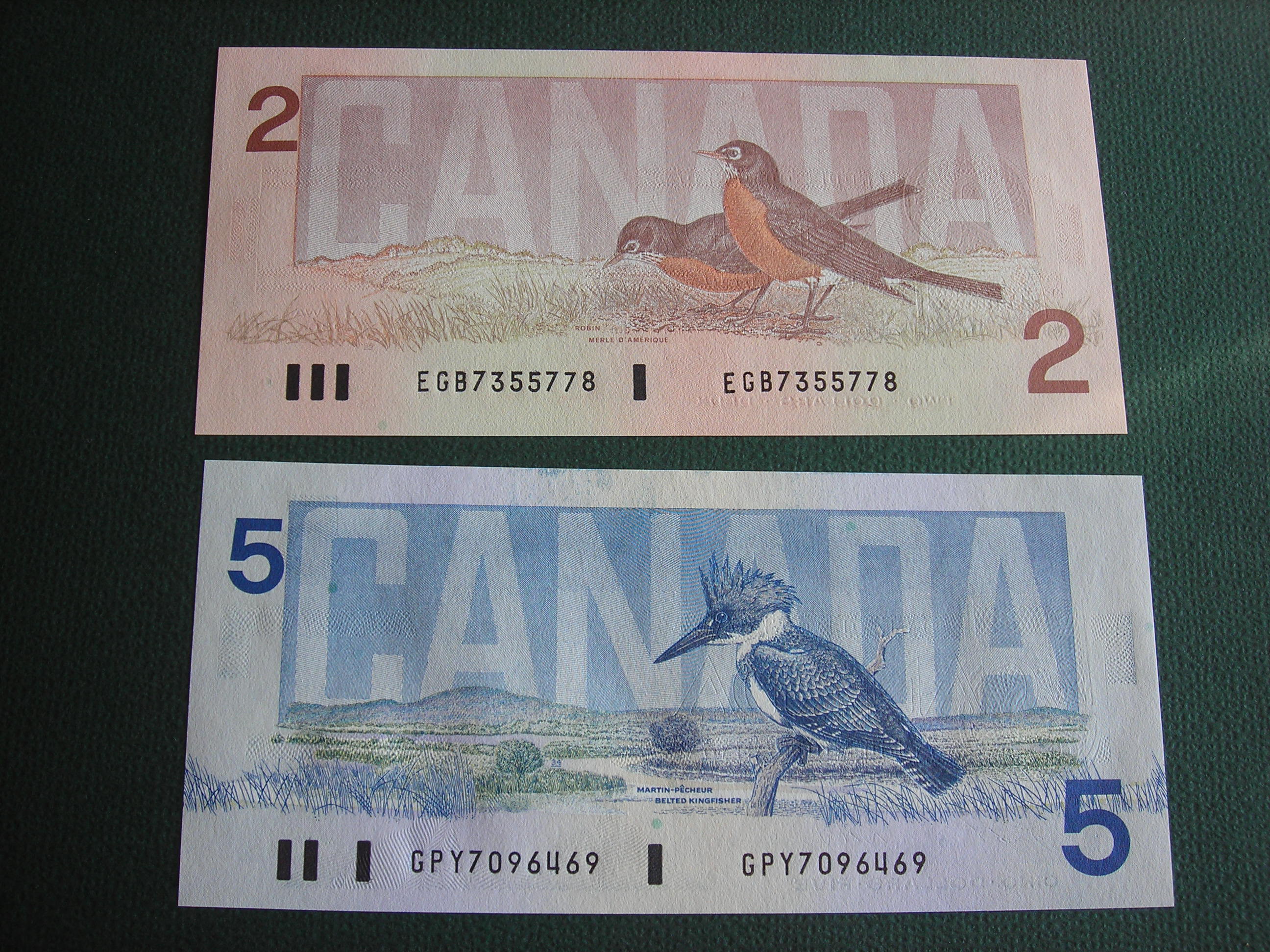 DSCN7856.JPG