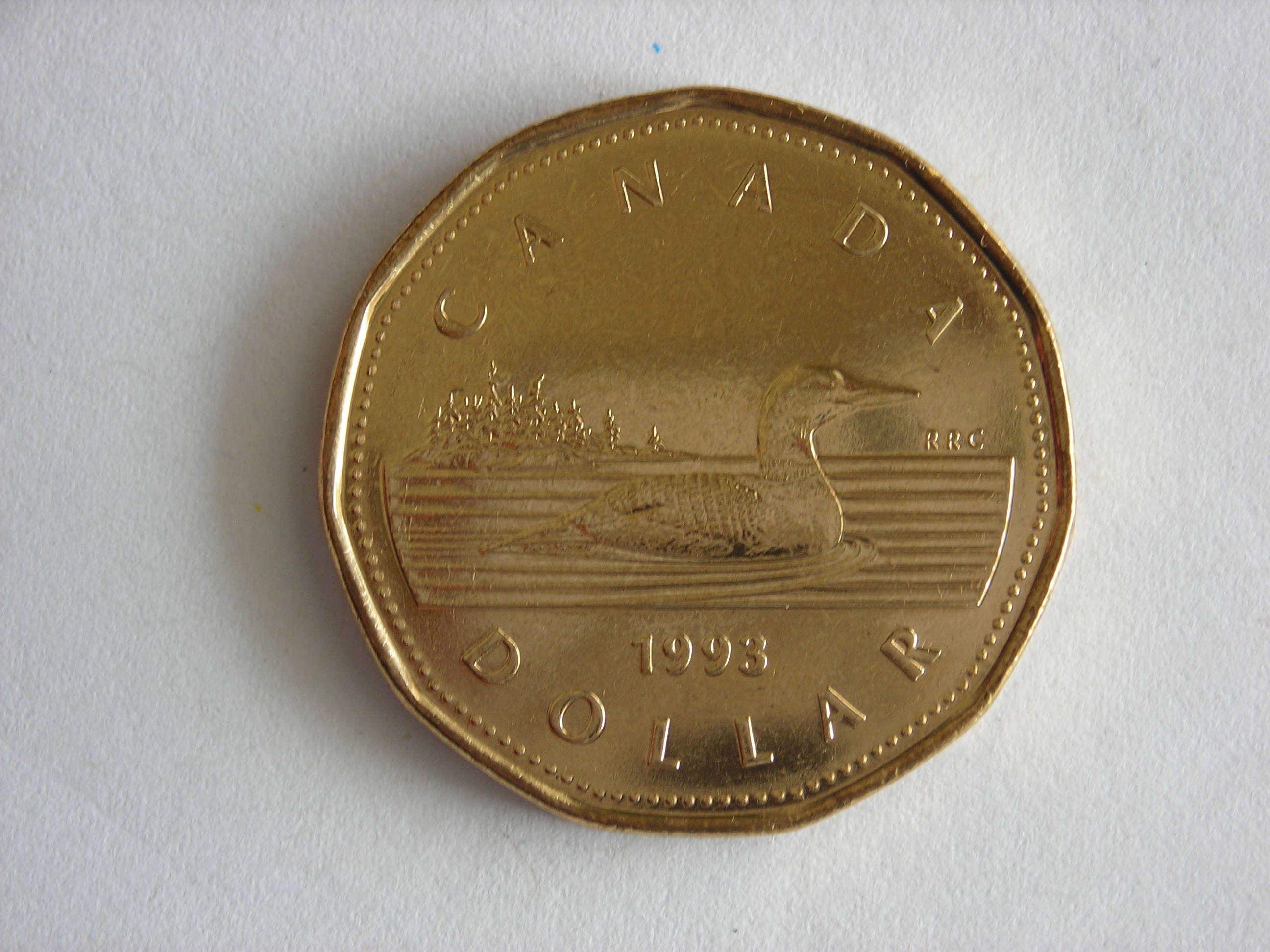 DSCN7912.JPG