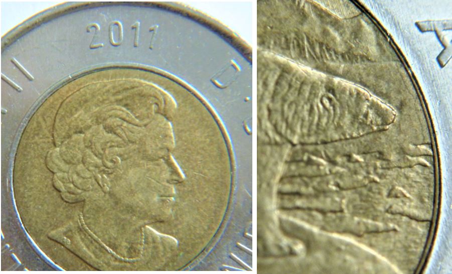 2 Dollar 2011-Dépôt de métal devant l'ours-n.1.JPG