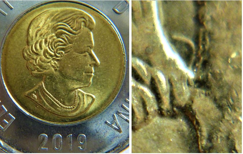 2 Dollar 2019-Dommage du coin entre les pattes arrière-N.2.JPG