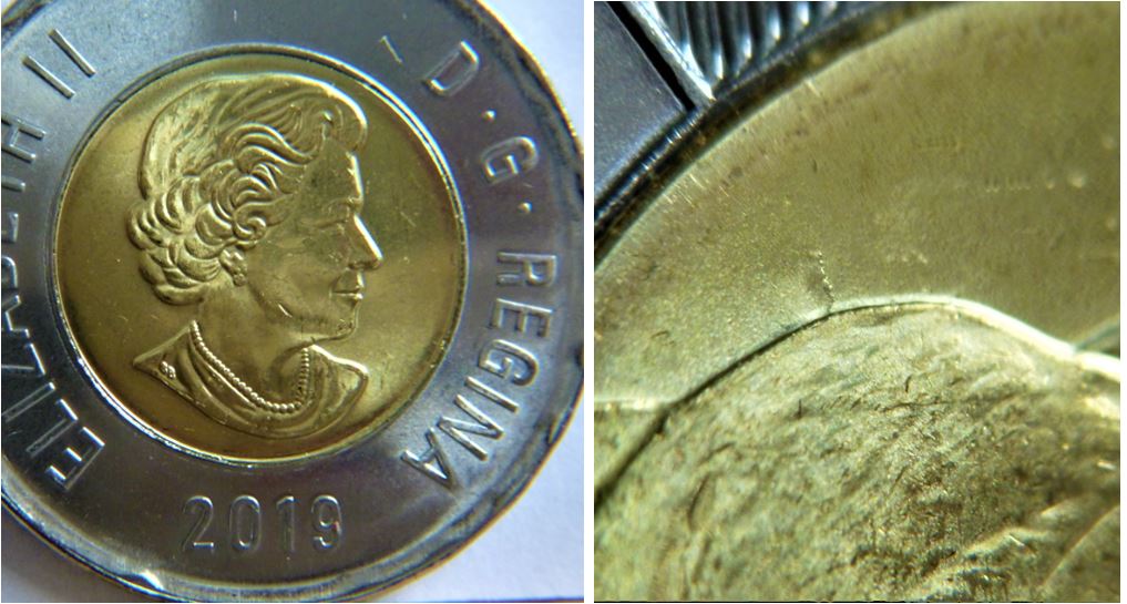 2 Dollar 2019-Coin fendillé au derrière de l'ours-1.JPG