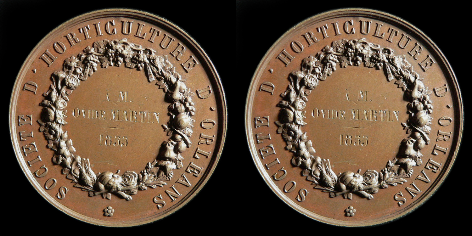Médaillon jeanne d'arc 1855 revers.jpg