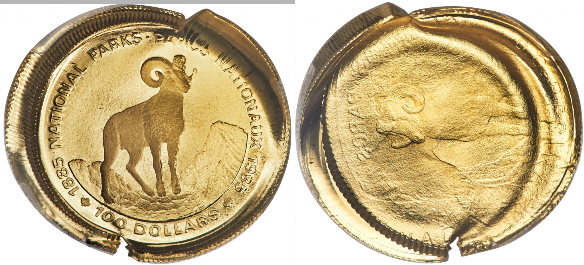 1985 100$ gold - 1.jpg