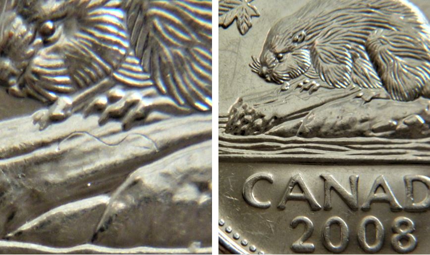 5 Cents 2008-Frappe a travers fils sur buche +Éclat coin sur dos castor-1.JPG