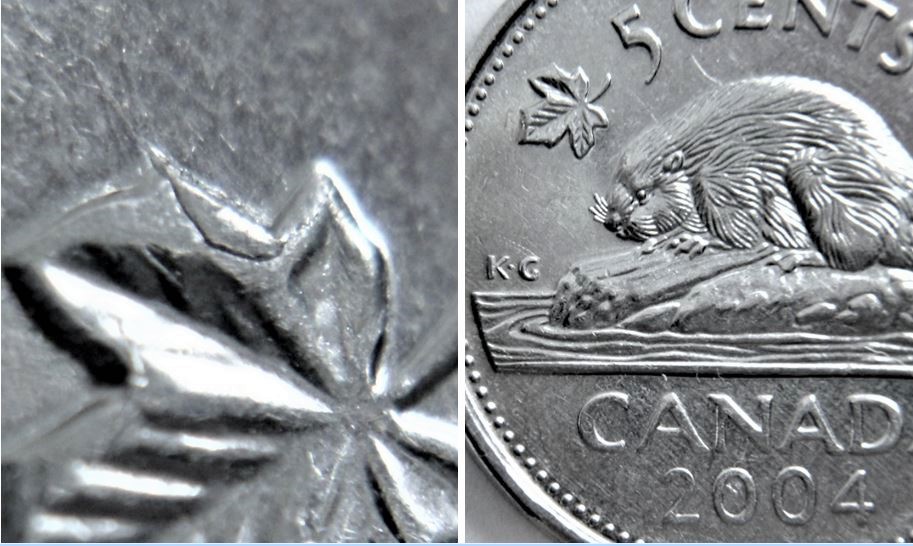 5 Cents 2004-Éclat coin  feuille gauche-1.JPG