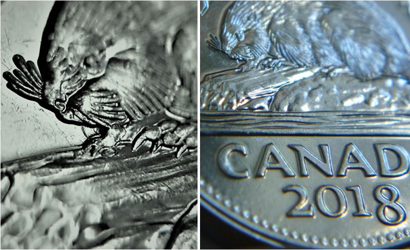 5 Cents 2018-Coin entrechoqué a la bouche du castor-3.JPG