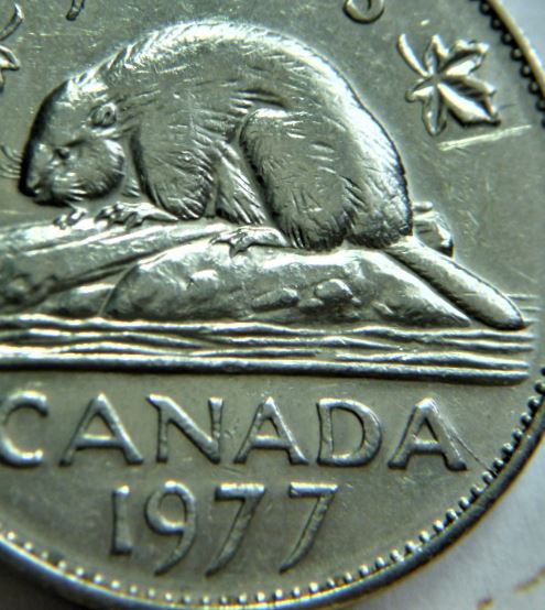 5 Cents 1977-Coin fendillé sur le coté du dernier A canadA-1.JPG
