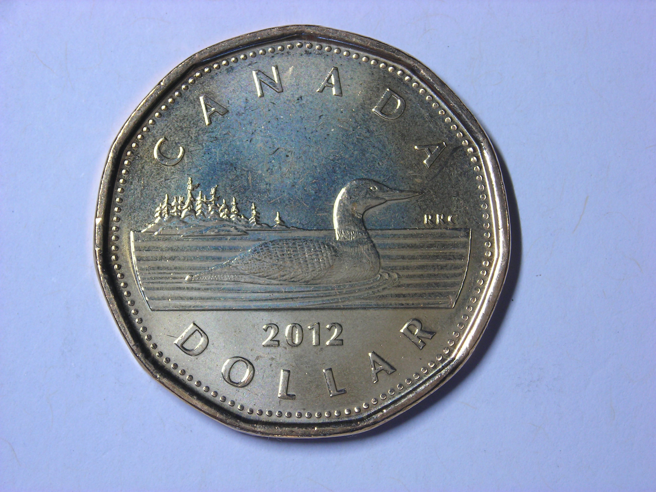 DSCN8230.JPG