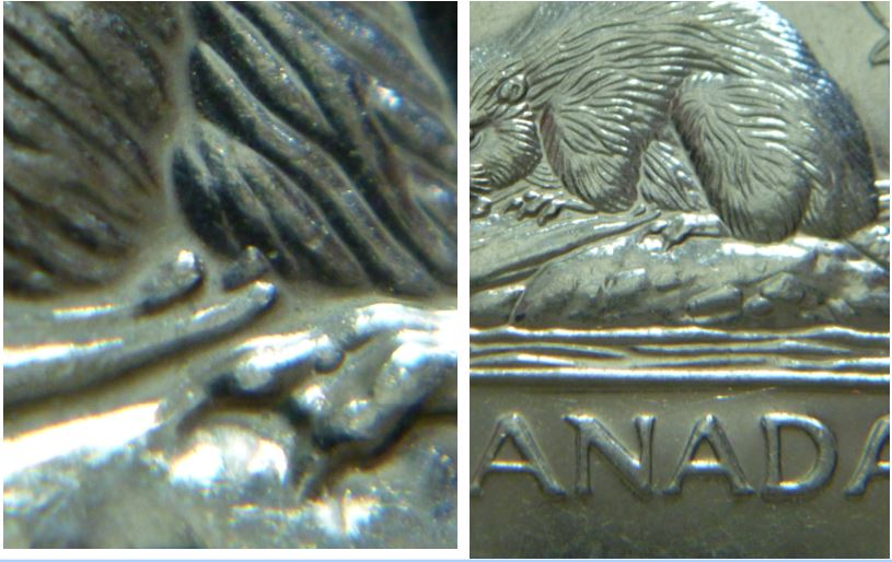 5 Cents 2002-Éclat coin sous abdomen.1.JPG