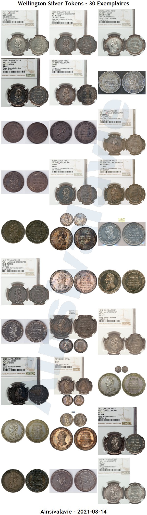 Wellington Silver Tokens 30 Exemplaires.jpg